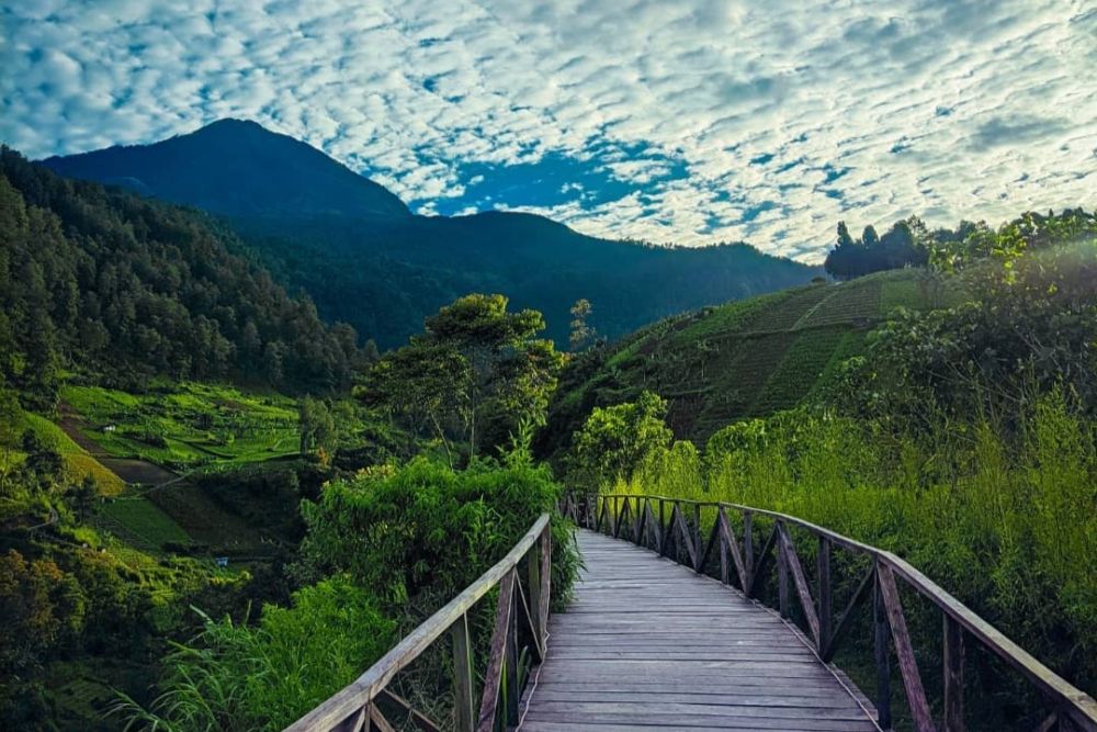 Tawangmangu: Destinasi Wisata Sejuk dan Seru di Lereng Gunung Lawu